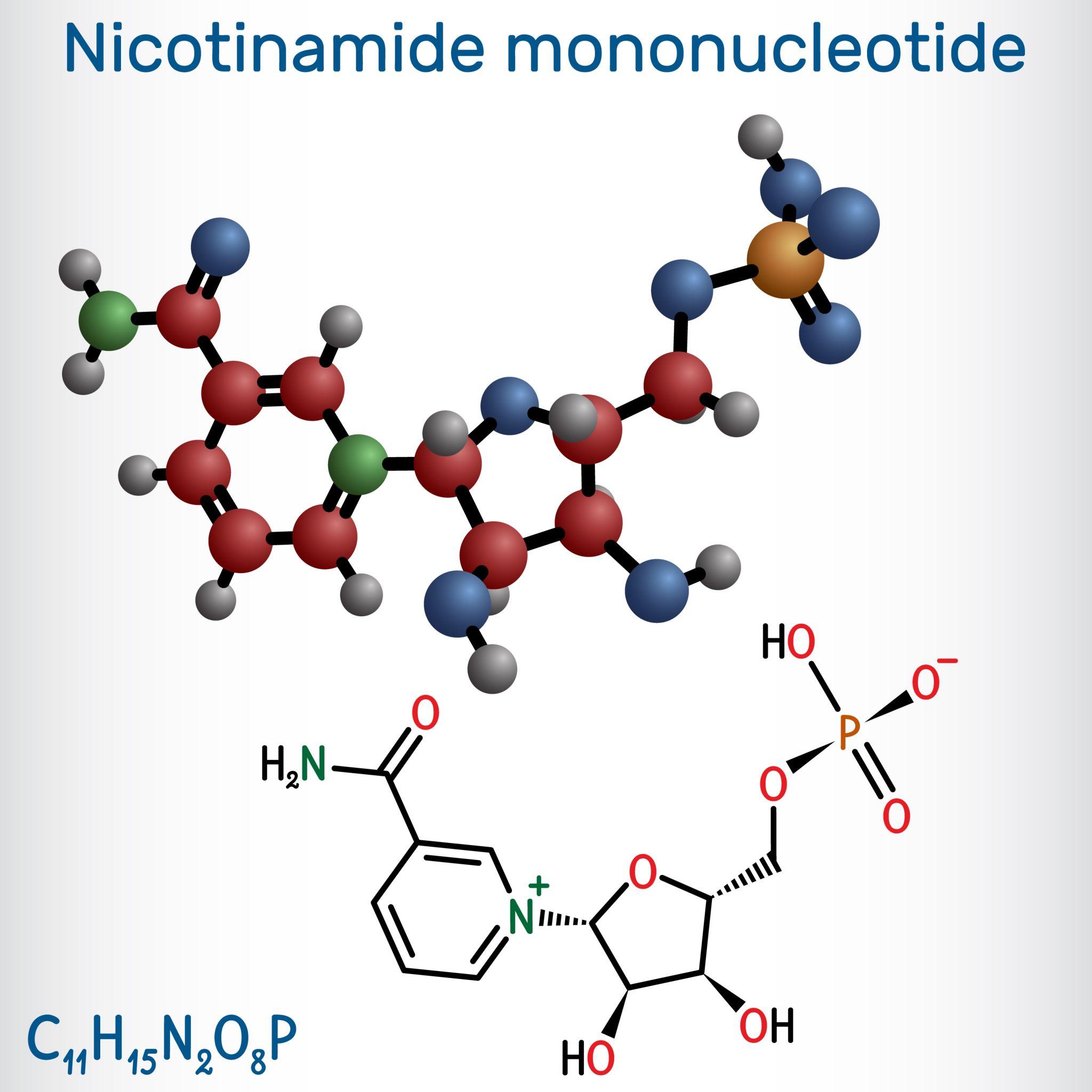 NMN 分子與臨床研究示意